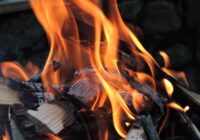 Vislabākā malka perfektai šašlika grilēšanai, par kuru daudzi nezina