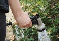 Kad un kā pareizi laistīt dārzu – padomi veiksmīgai dārzkopībai