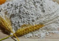 Biju neizpratnē, kāpēc vīramāte uzglabā miltus ledusskapī – pēc viņas skaidrojuma tagad daru tāpat