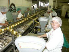 090128_Viru_Rand.jpg
