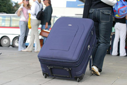 101208_migracija.jpg