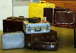 141211_chemodani_migrac.jpg