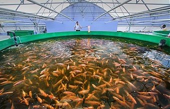 200609_aqua.jpg
