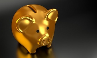 201019_pig.jpg