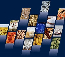 201112_food.jpg