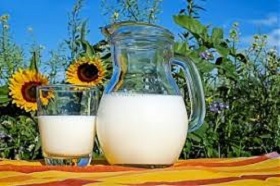 190116_baltic_dairy.jpg