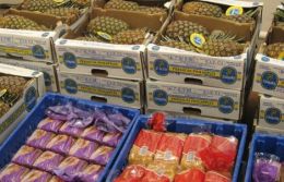 120127_toidupank_food.jpg