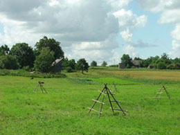 101015_ForanRealEstate.jpg 101015_ForanRealEstate.jpg