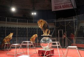 151110_cirk_lev.jpg