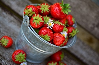 200603_strawberry.jpg