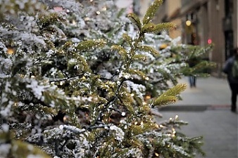 201126_xmas.jpg