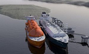121129_klaip_lng_kiaul.jpg