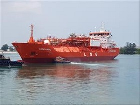 200529_coral_fungia.jpg