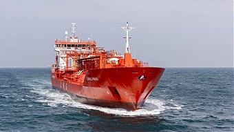 200806_coral_favia.jpg