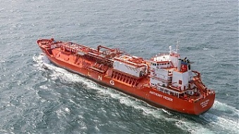 200825_coral_favia.jpg
