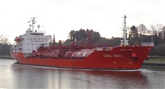 201208_coral_favia.jpg
