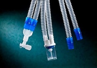 200417_lung.jpg
