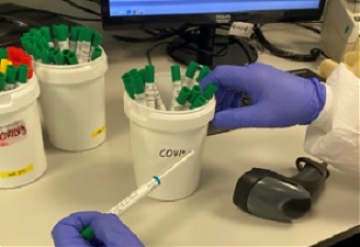 200831_virus_testEE.jpg