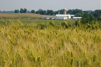 200211_farmLV.jpg