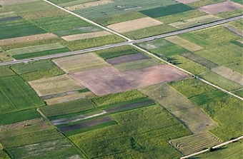 200813_agriLT.jpg