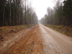 100319_lvm_mezi.jpg