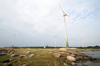 121011_virtsu_vetrjaki.JPG