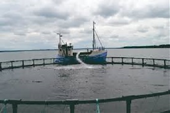 190329_trout_klaipeda.jpg