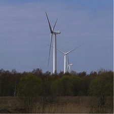 200218_tootsi.jpg
