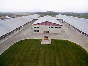 200312_farm.jpg