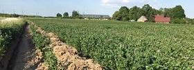 200312_farmLV.jpg