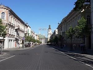 200324_gediminoLT.jpg