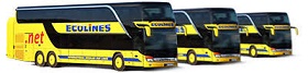 200604_ecolines.jpg