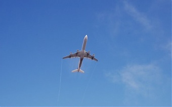 200616_flightLT.jpg