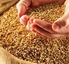200618_grain.jpg