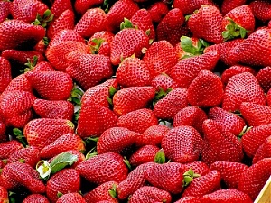 200625_strawberry.jpg
