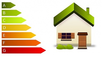 200916_ecology.jpg