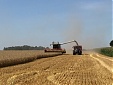 Прогноз: урожай зерновых в Латвии в этом году будет успешным -- 3,4 млн тонн Прогноз: урожай зерновых в Латвии в этом году будет успешным -- 3,4 млн тонн