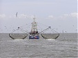 Всемирный фонд дикой природы: Балтийское море не может восстановиться из-за донного траления Всемирный фонд дикой природы: Балтийское море не может восстановиться из-за донного траления