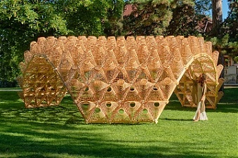 200819_jaunzems.jpg