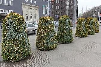 cvet_zhit.jpg