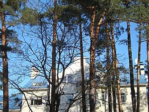 140414_jurmal_sosni_bc.jpg