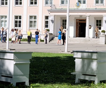 170514_beehives.jpg