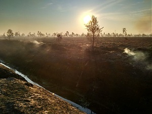 180718_vugd.jpg