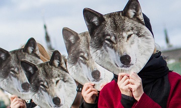 200917_festival.jpg