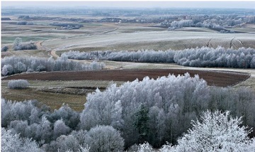201127_winter480.jpg