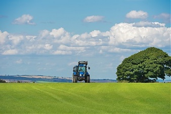 180810_balta.jpg