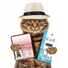 201005_investor.jpg