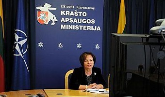 Раса Юкнявичене на видеоконференции. Пресс-фото.