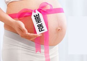 151019_surrog_mat.jpg 151019_surrog_mat.jpg