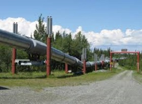 190808_oil.jpg